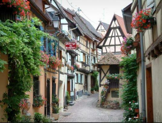 Duplex Saint Lustre, View Over Castle And Storks, 5 Mn From Colmar Eguisheim Exterior photo
